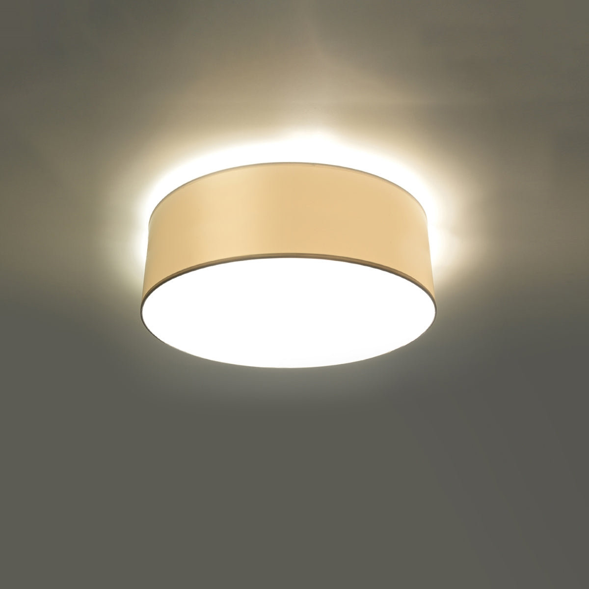 Arena 25 white ceiling light