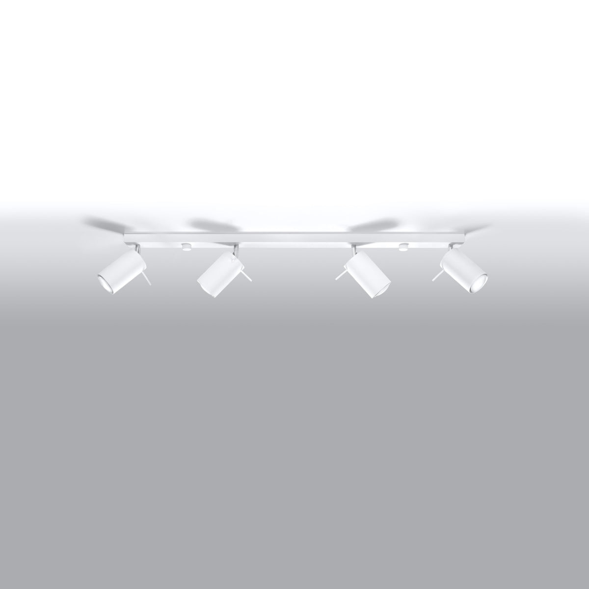 Directional Ceiling Light 4L LED white