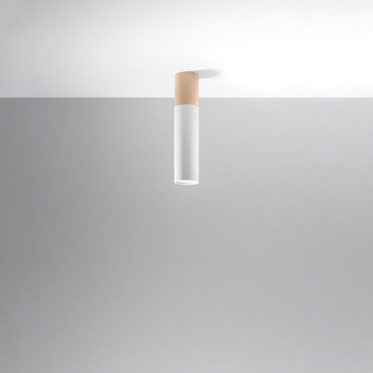 Plafonnier Bicolore blanc