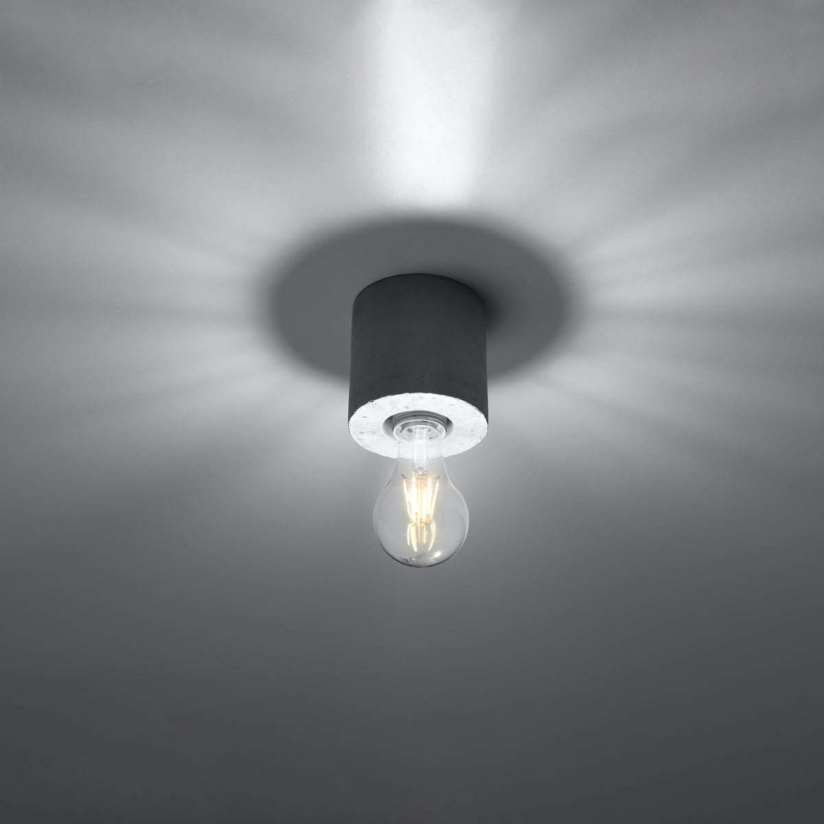 Pure Circular Concrete Ceiling Light