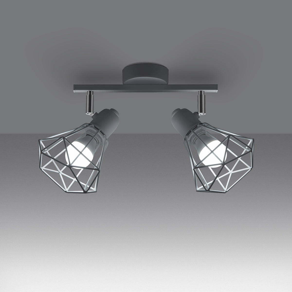 Plafonnier Ajustable LED 2 blanc