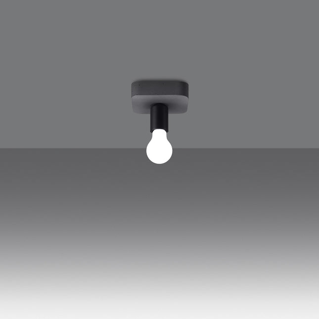 Modulo Industrial Ceiling Light 1
