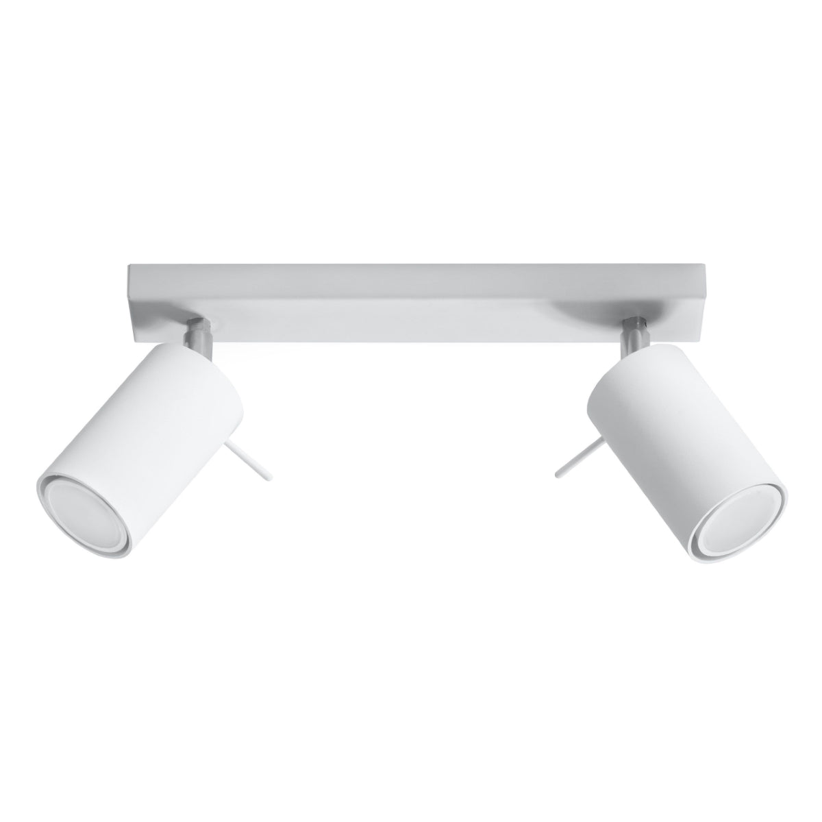 Plafonnier Directionnelle 2 LED blanc