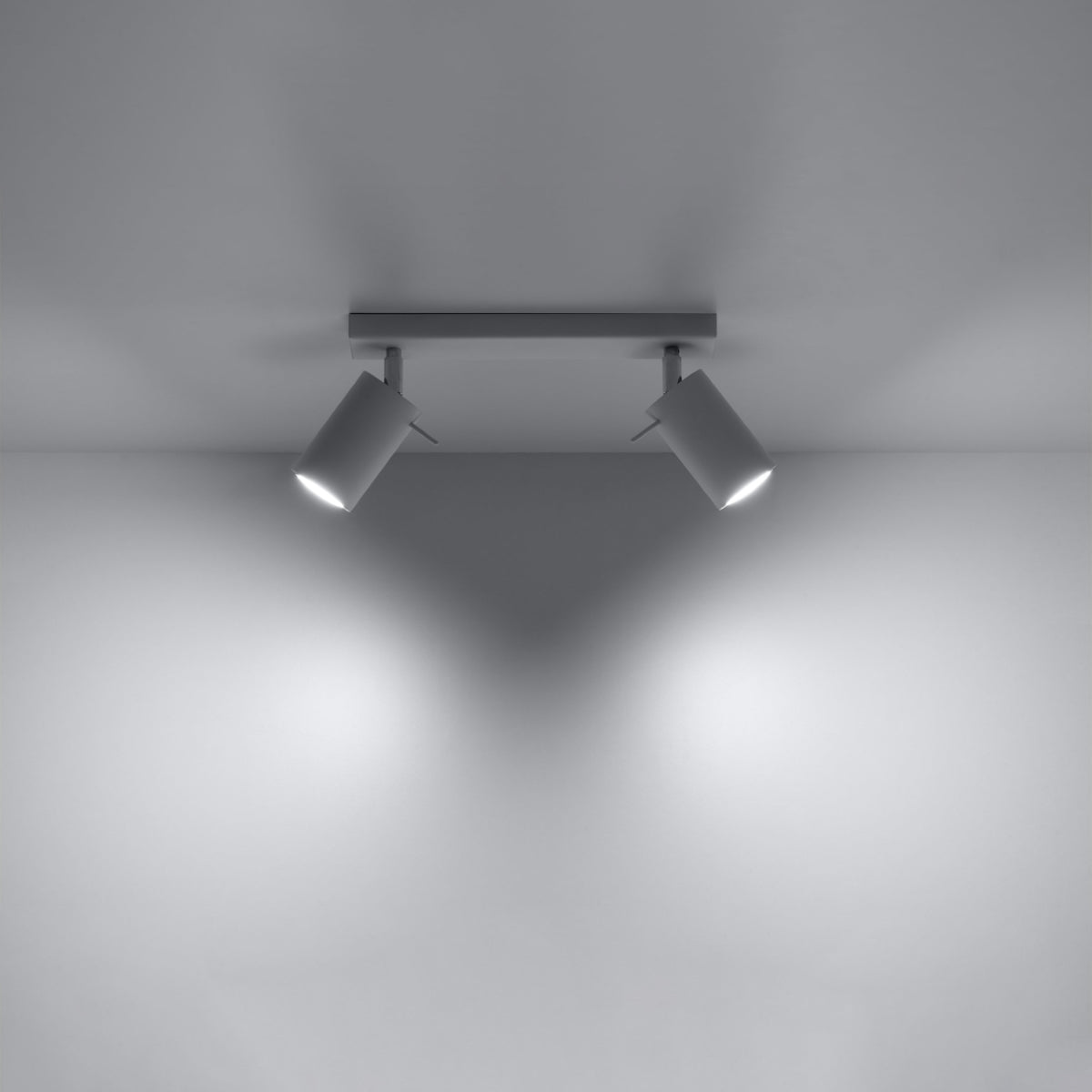 Directional ceiling light 2 white LEDs