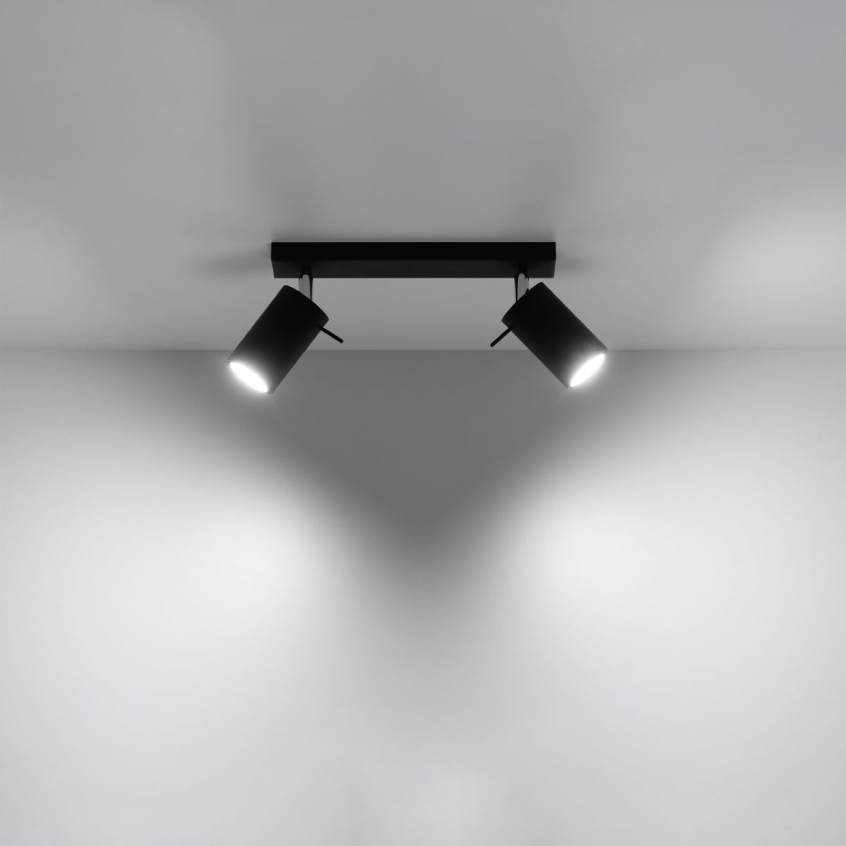 Directional ceiling light 2 LED black