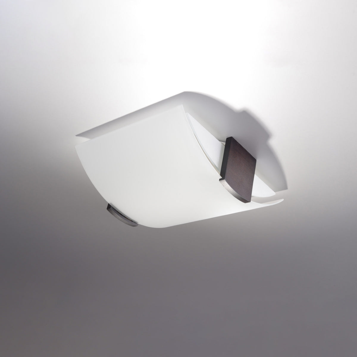 Creative and Modern Rounded Ceiling Light