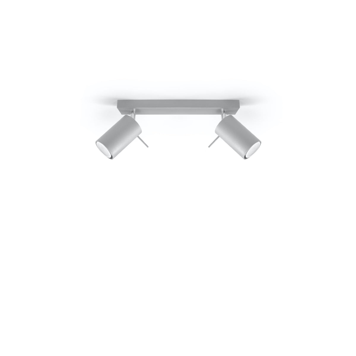 Directional ceiling light 2 LED gray