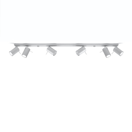 Richtungsdeckenleuchte 6L LED grau