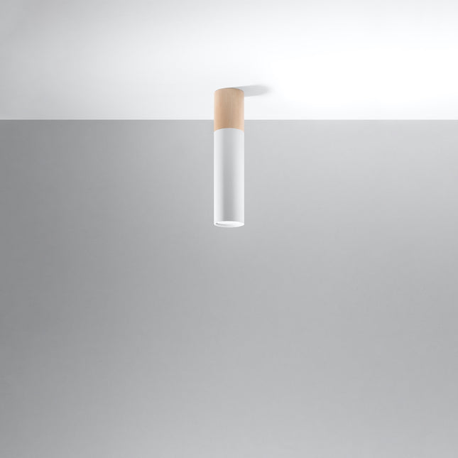 Two-tone white ceiling light