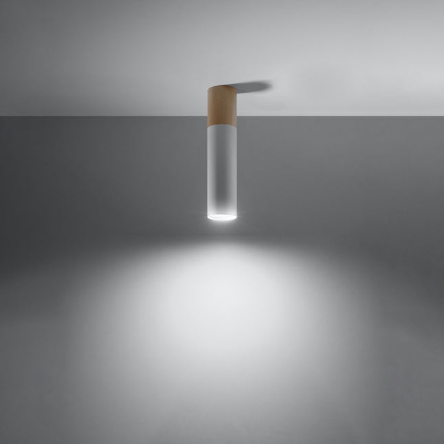 Two-tone white ceiling light