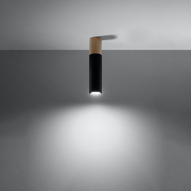 Black two-tone ceiling light