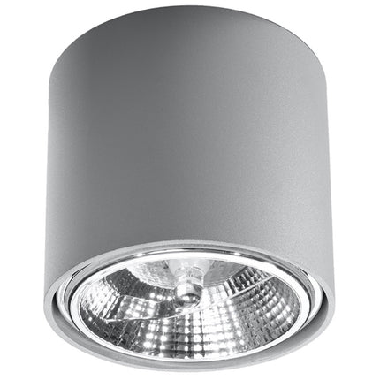 Sobre Circular Grey Ceiling Light