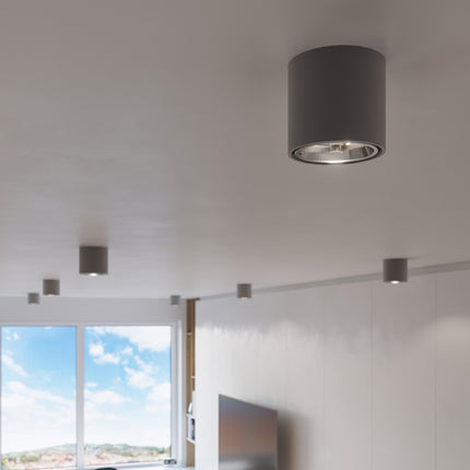 Sobre Circular Grey Ceiling Light