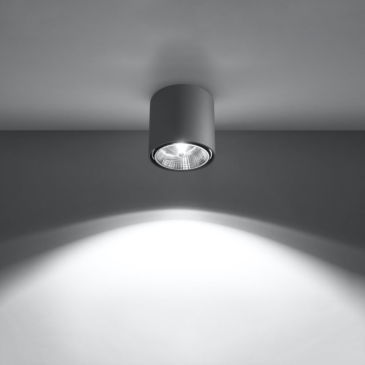 Sobre Circular Grey Ceiling Light