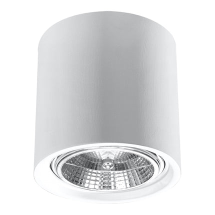 Minimalist LED Spot Ceiling Light