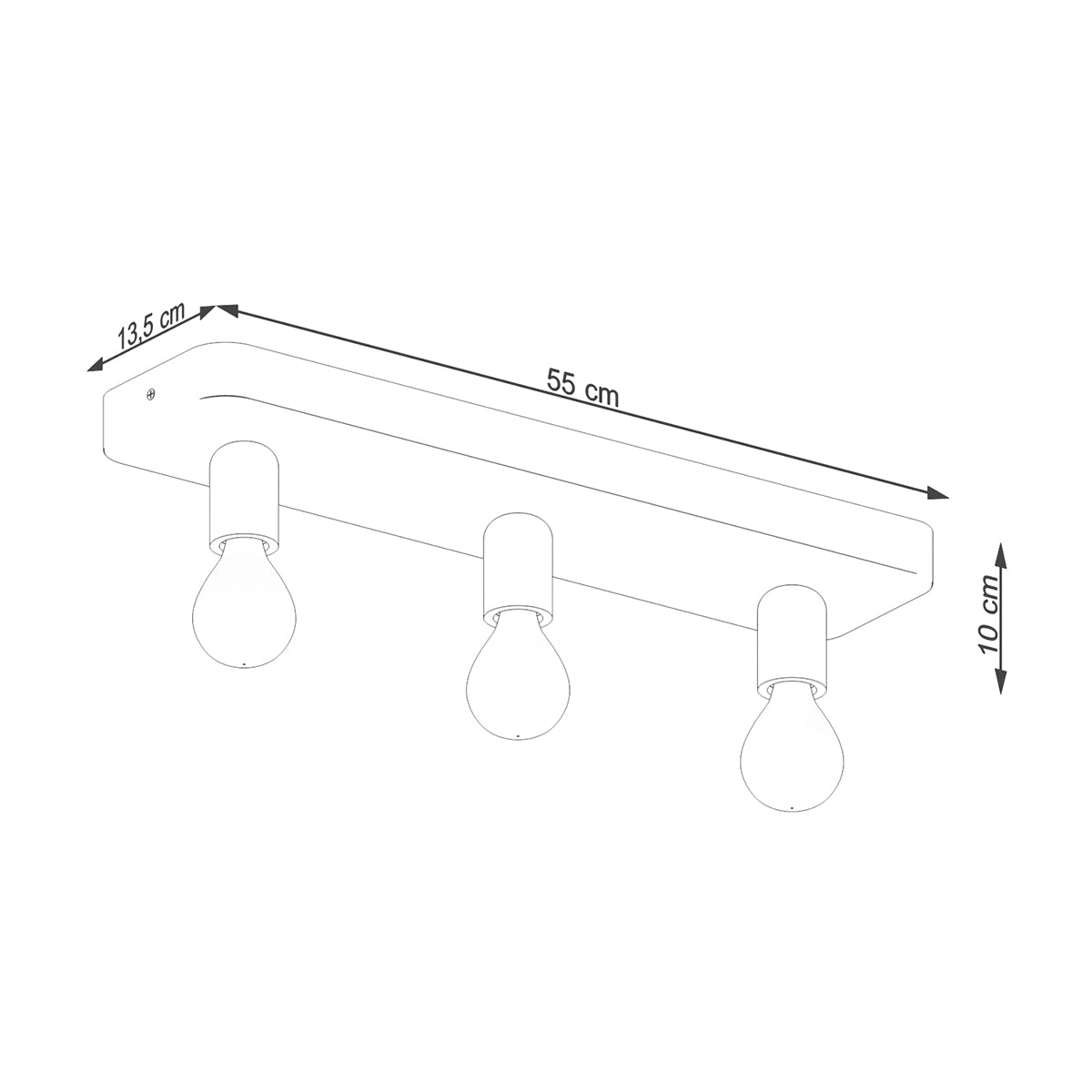 Modulo Industrial Ceiling Light 3