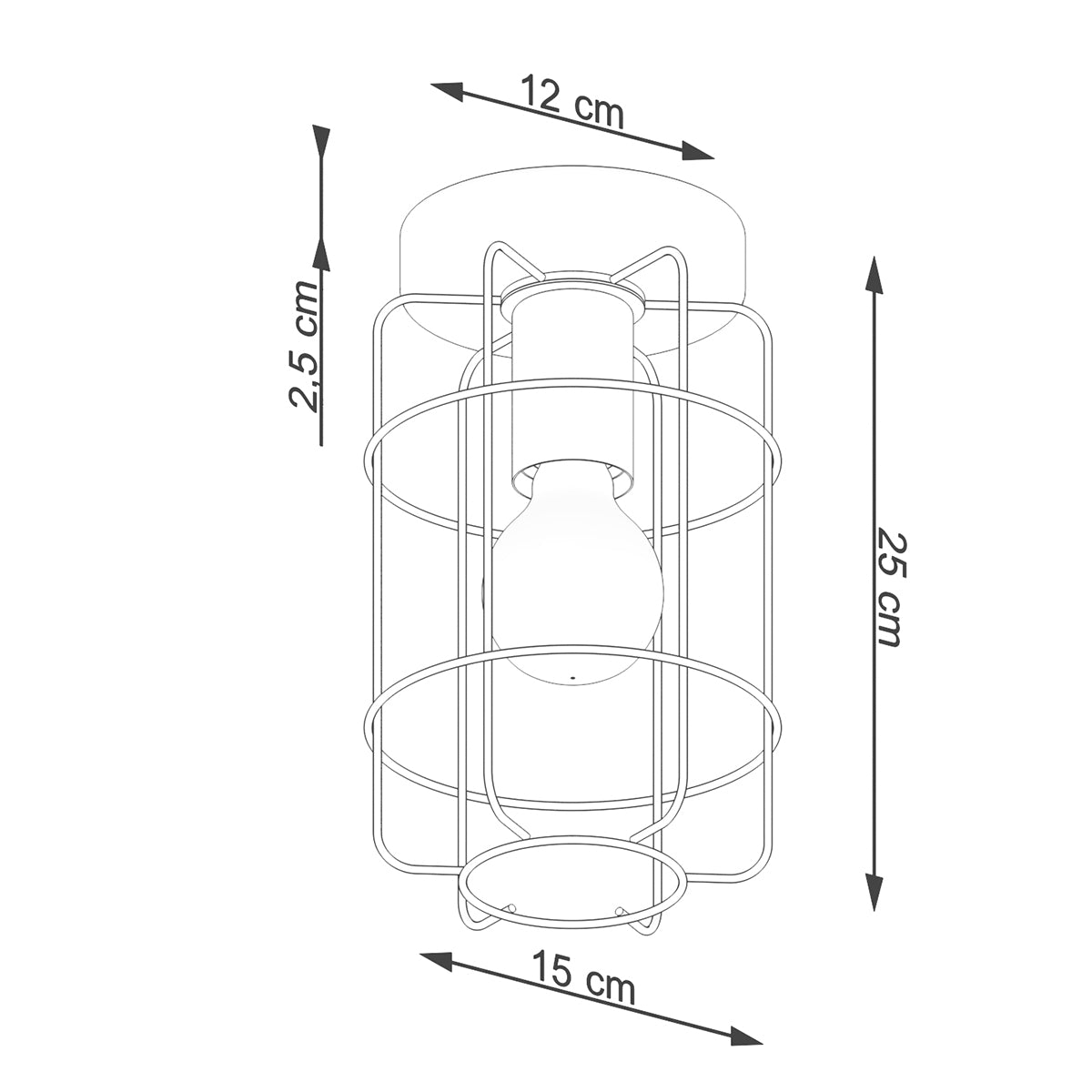 Industrial Cage Ceiling Light