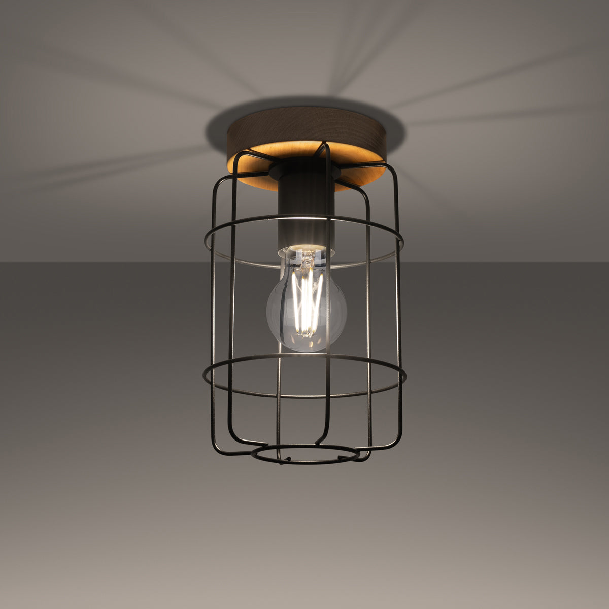 Industrial Cage Ceiling Light