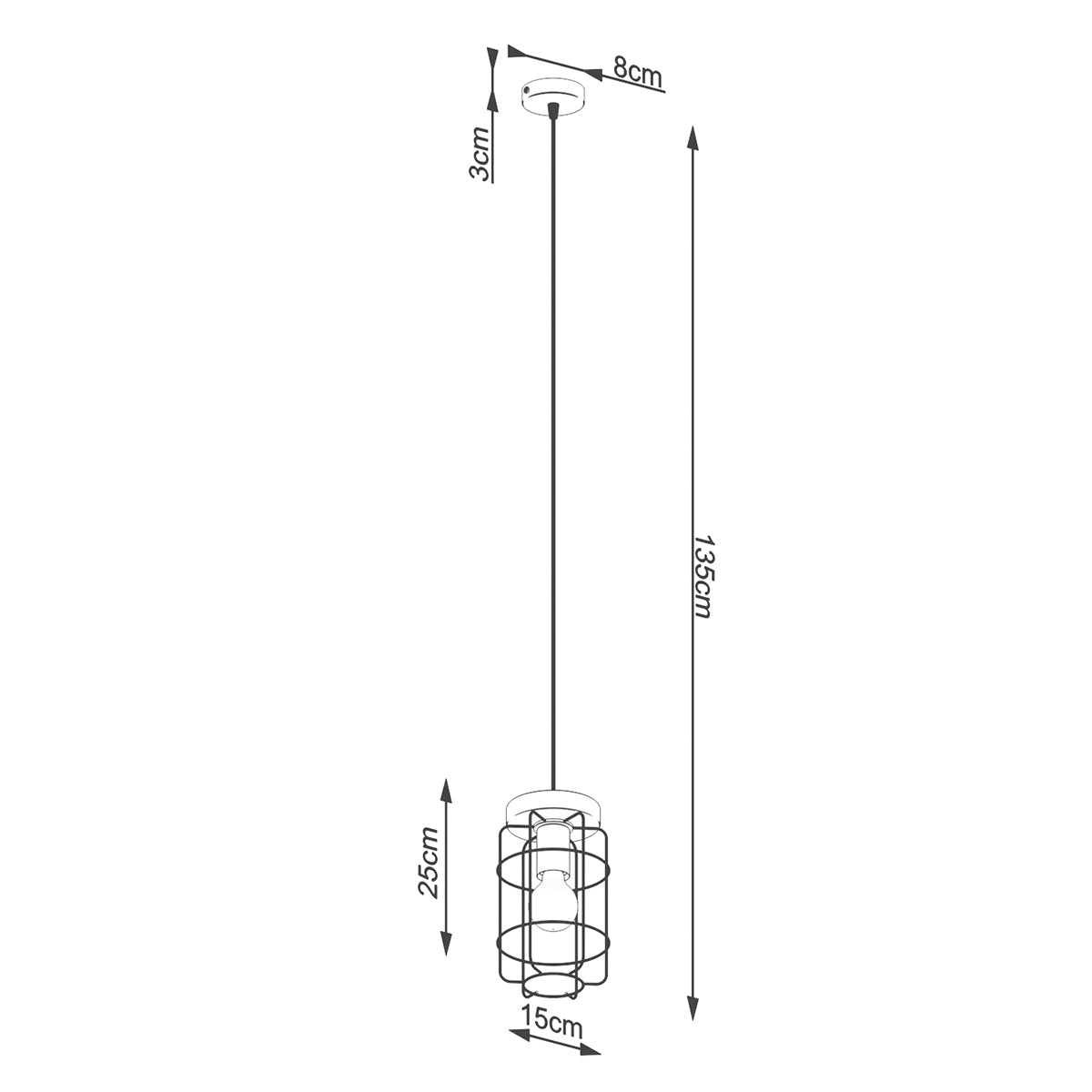 Industrial Cage Pendant Lamp 1