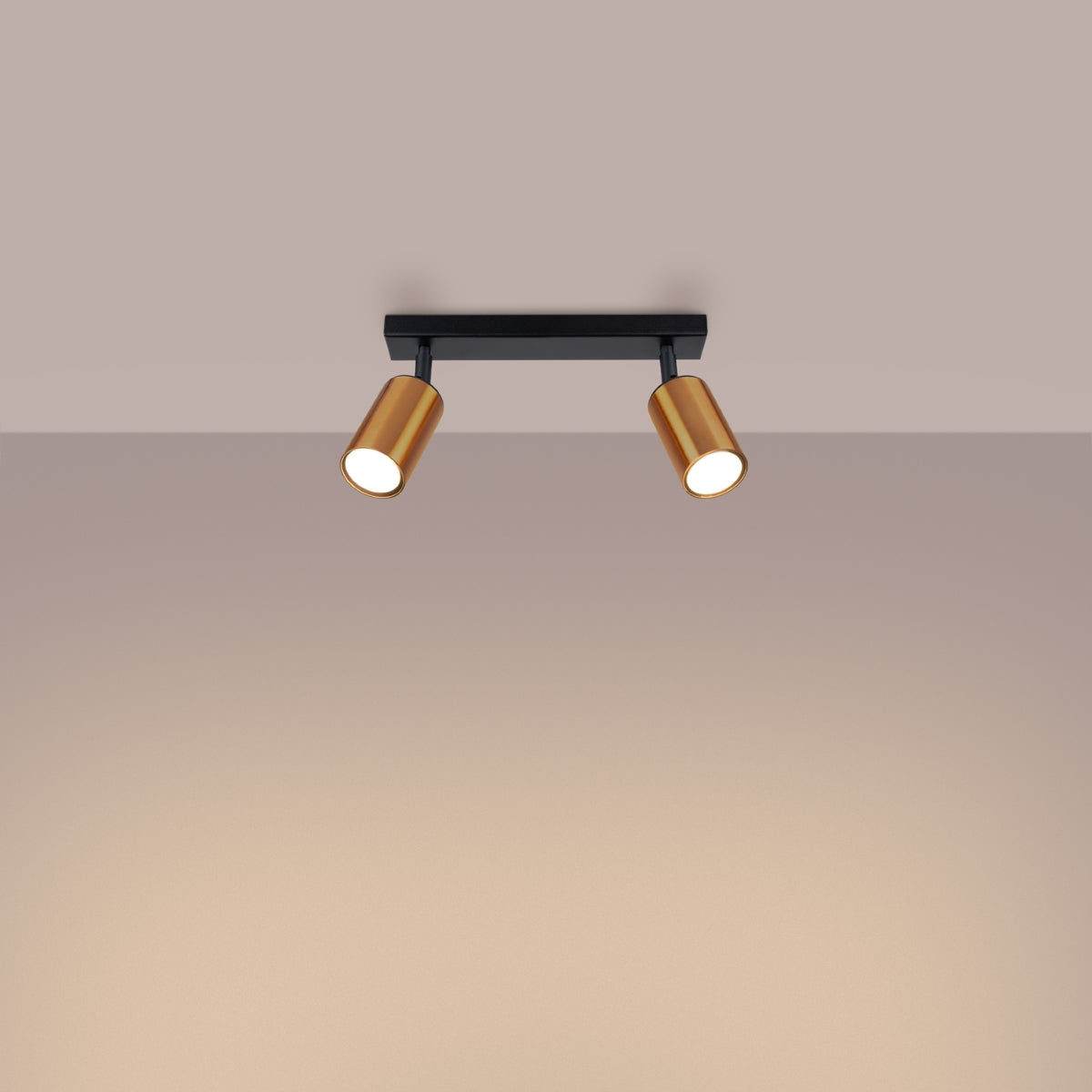 Steel Luxury 2 ceiling light black/copper