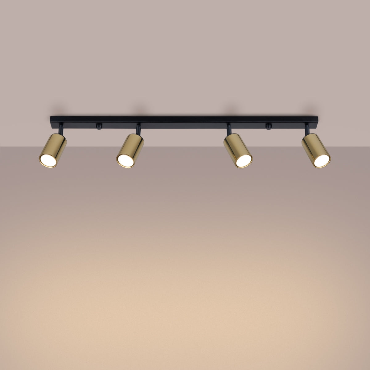 Luxury Steel Ceiling Light 4L Black/Gold