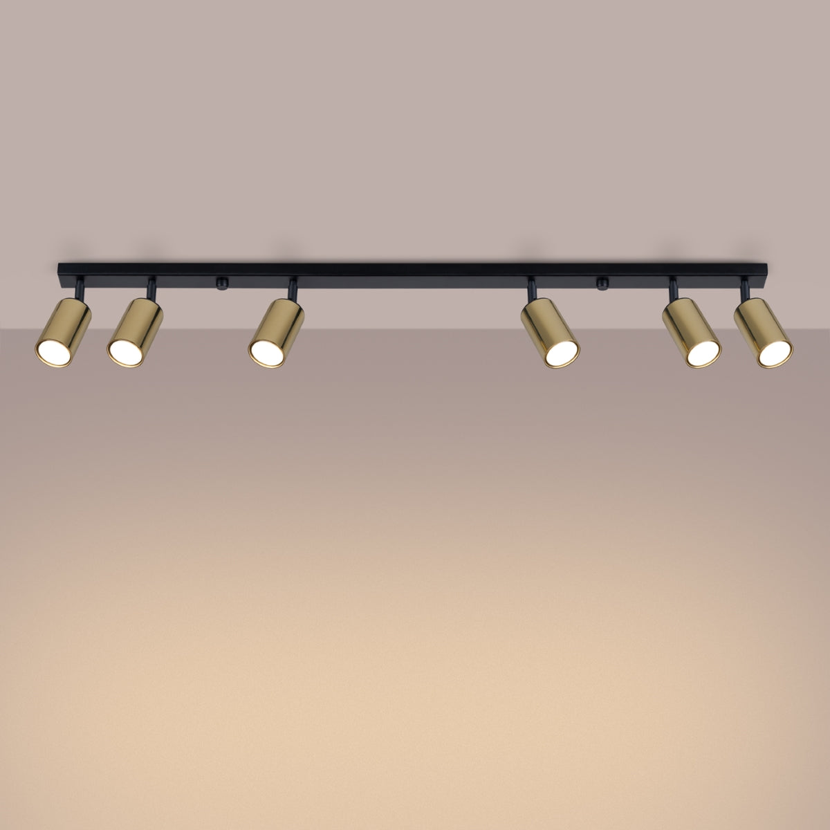 Luxury Steel Ceiling Light 6L Black/Gold