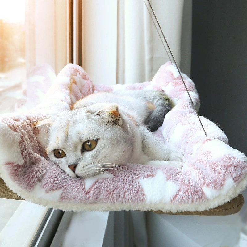 Chat profitant d'une vue panoramique depuis son hamac fixé à la fenêtre.