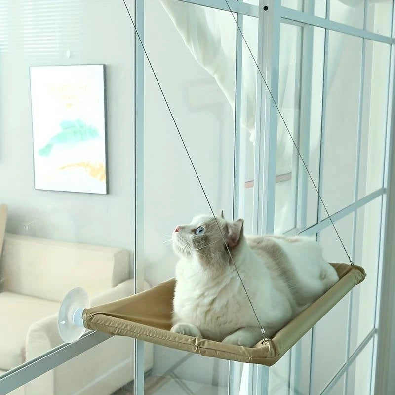 Chat confortablement installé dans un hamac d'intérieur.