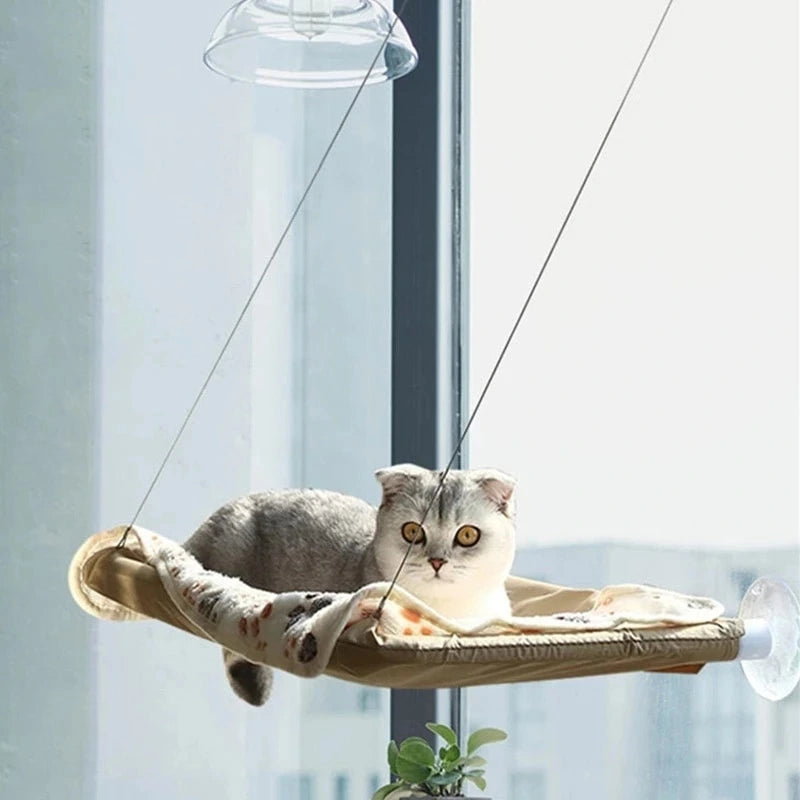 Moment de détente pour un chat dans son hamac d'intérieur.