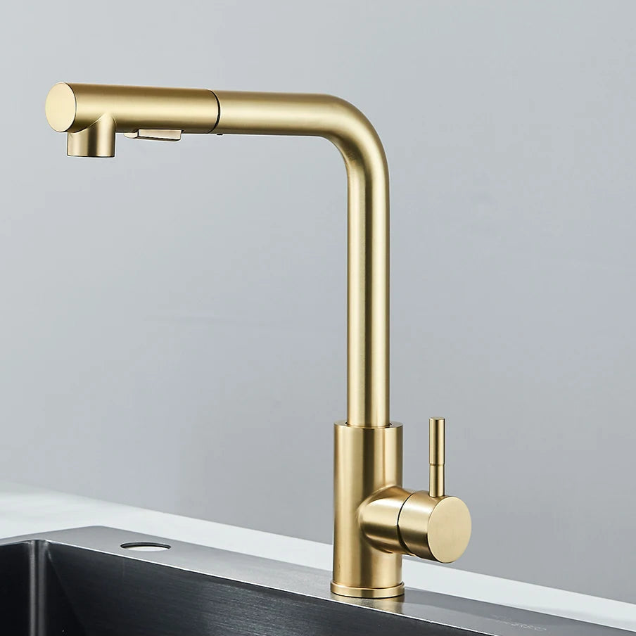 Faucet with Integrated Spray Nozzle