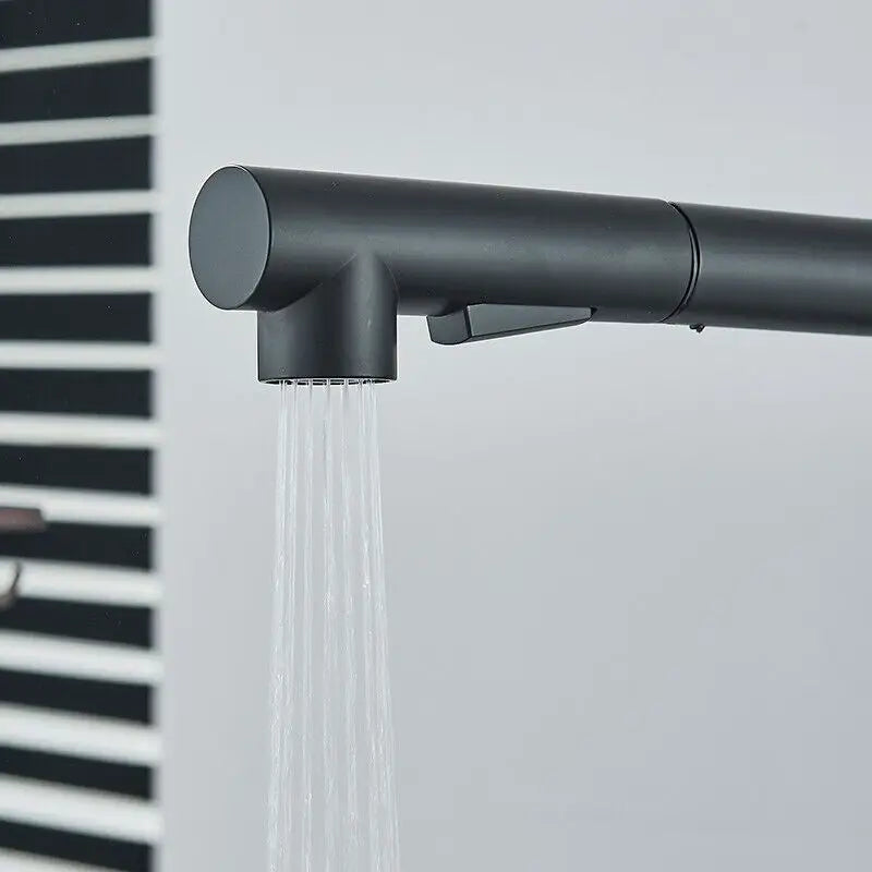 Faucet with Integrated Spray Nozzle