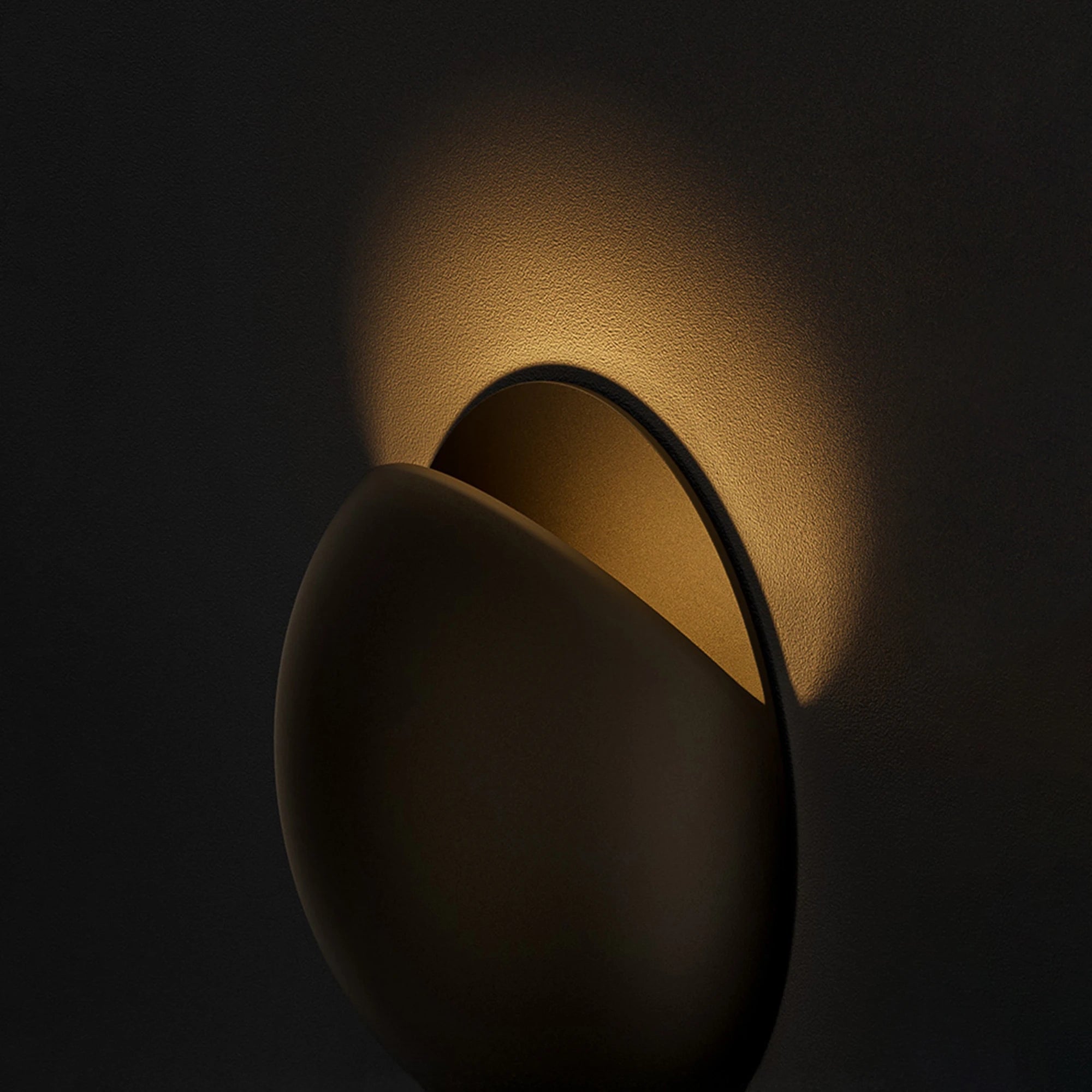 Carapace Minimalist LED Wall Light