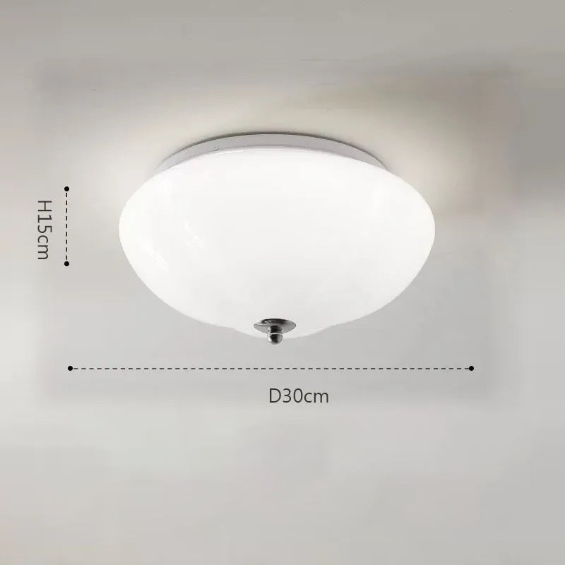 Minimalist Retro Glass LED Pointe Ceiling Light