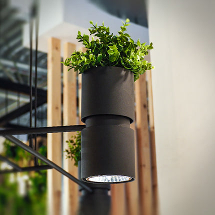 Applique murale jardinière noire avec plante et spot GU10, dans un intérieur bois et verre