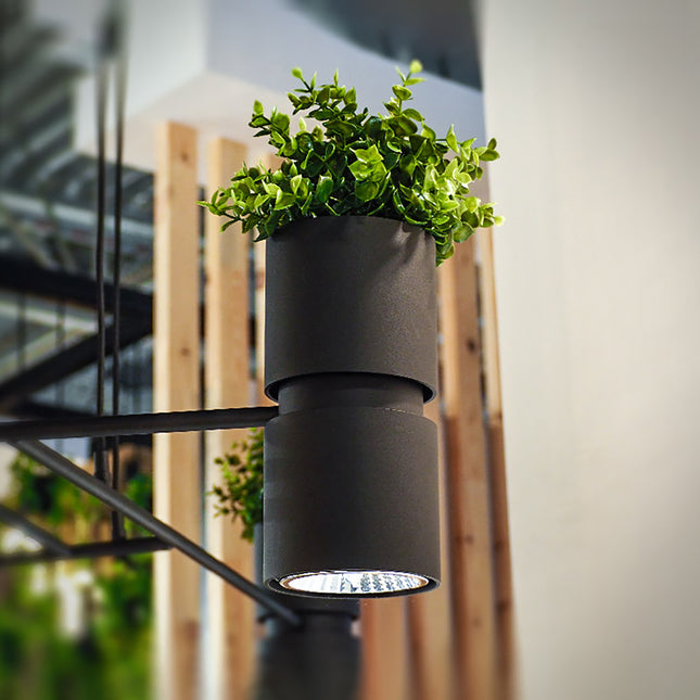 Applique murale jardinière noire avec plante et spot GU10, dans un intérieur bois et verre