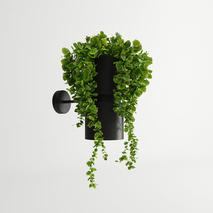 Applique murale jardinière lumineuse noire avec plante retombante, packshot sur fond clair