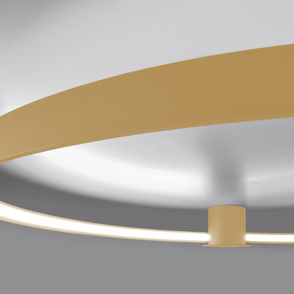 Anneau Solis 55 cm doré allumé vu de face, halo lumineux circulaire