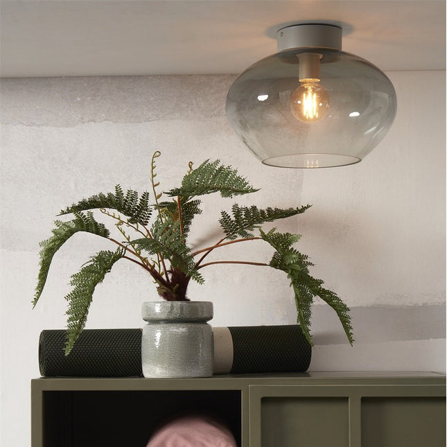Plafonnier Bologna verre dégradé gris au plafond au-dessus d'une plante et d'un meuble vert