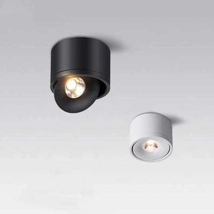 Plafonnier LED orientable monté en surface, finition noir et blanc