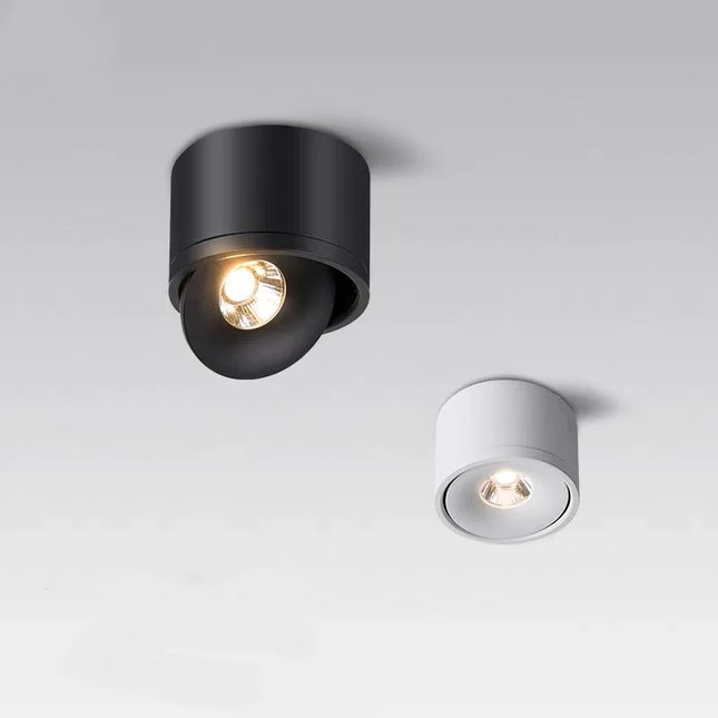 Plafonnier LED orientable monté en surface, finition noir et blanc