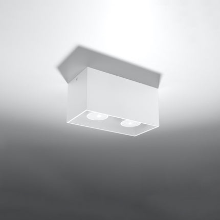 Plafonnier Rectangle Blanc en aluminium à deux spots dans un salon contemporain