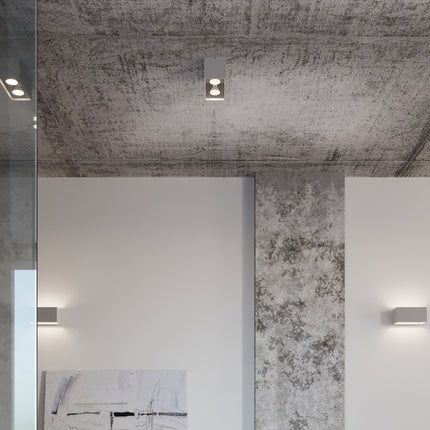 Plafonnier Rectangle Gris en aluminium à deux spots gros plan sur la source lumineuse