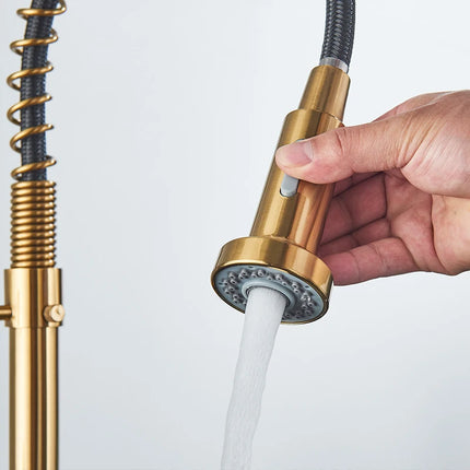 Gros plan sur la tête de douchette dorée du robinet de cuisine et son bouton de jet