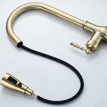 Détail de la douchette laiton extractible et de son flexible tressé