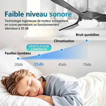 Ventilateur Plafond Silencieux Vintage avec LED - Argent et Bois Naturel