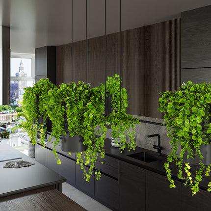 Détail des plantes retombantes de la suspension jardinière noire au-dessus d'un plan de cuisine