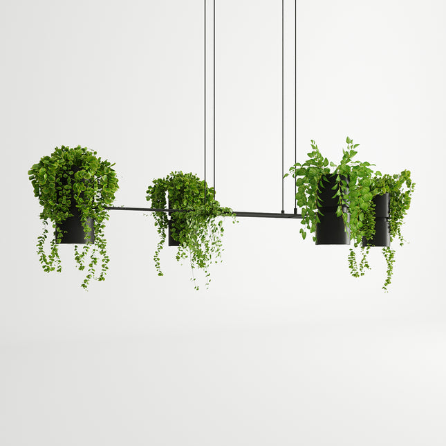Suspension jardinière noire aux plantes retombantes et spots orientés vers le bas, packshot studio