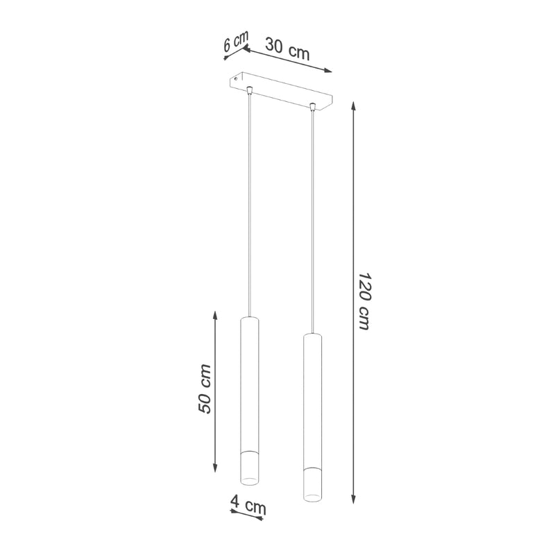 Dimensions Ligne Claire 2-Tube Black Steel and Glass Pendant Light