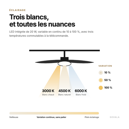 Schéma de l'éclairage : LED 20 W variable de 10 à 100 %, trois blancs 3000K, 4500K et 6000K