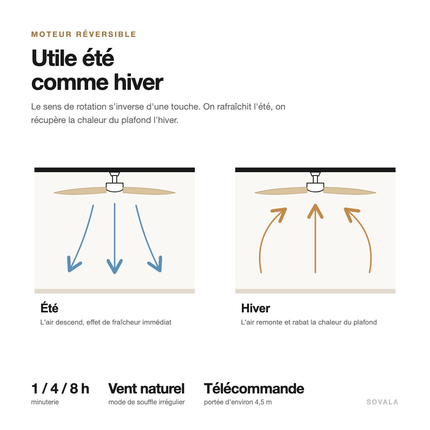 Schéma du moteur réversible : air vers le bas en été, vers le haut en hiver, 6 vitesses